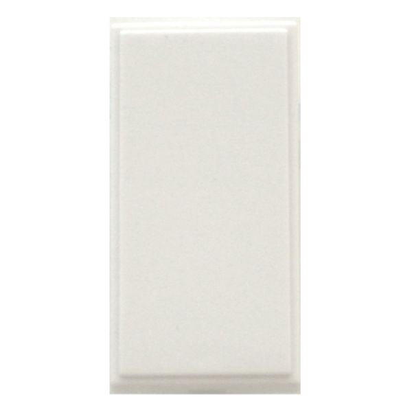 Triax Single Blank Module (25 x 50mm) - White